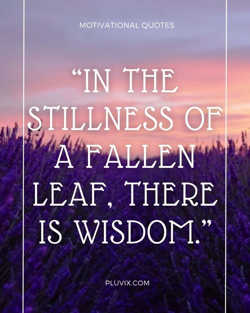 “In the stillness of a fallen leaf, there is wisdom.”