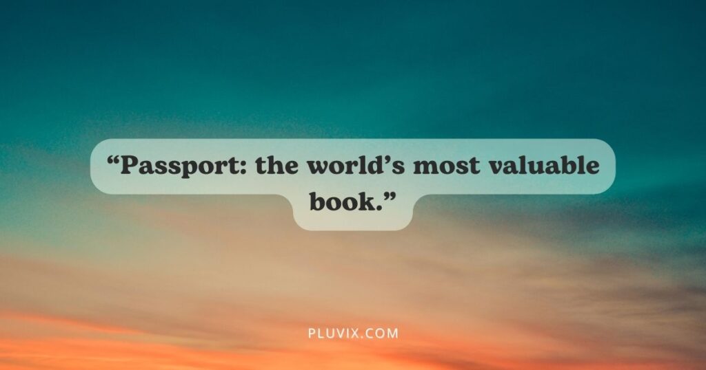 “Passport_ the world’s most valuable book.”