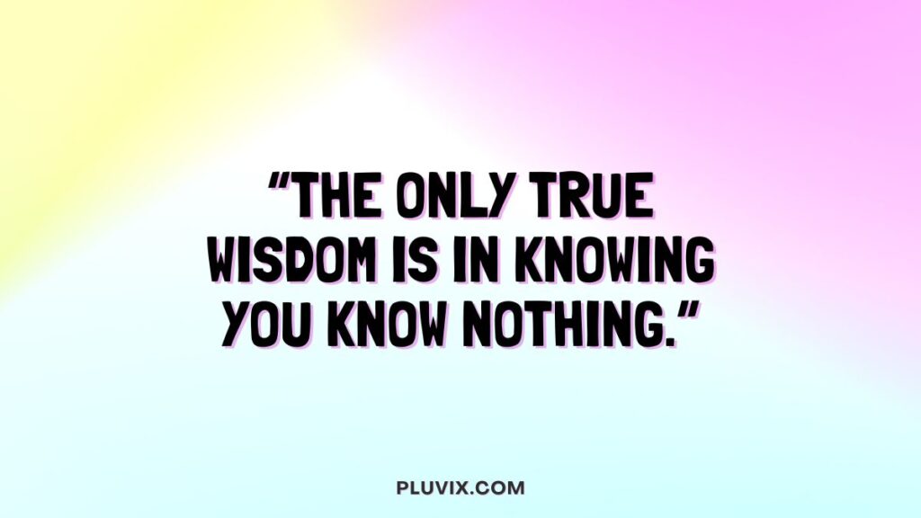 “The only true wisdom is in knowing you know nothing.”